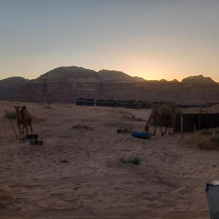 מלון וואדי רם Bedouin Host Camp& With Tour מראה חיצוני תמונה